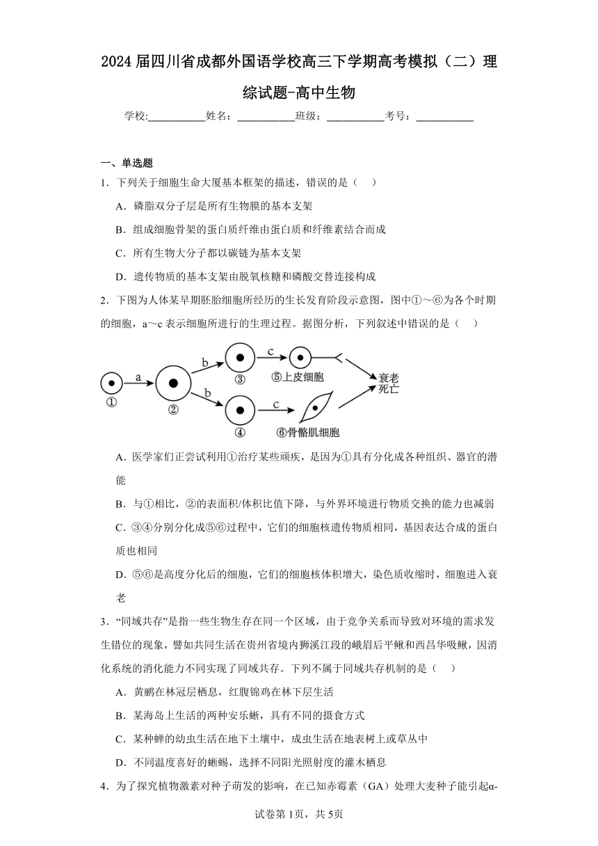 2024届四川省成都外国语学校高三下学期高考模拟（二）理综试题-高中生物（含解析）