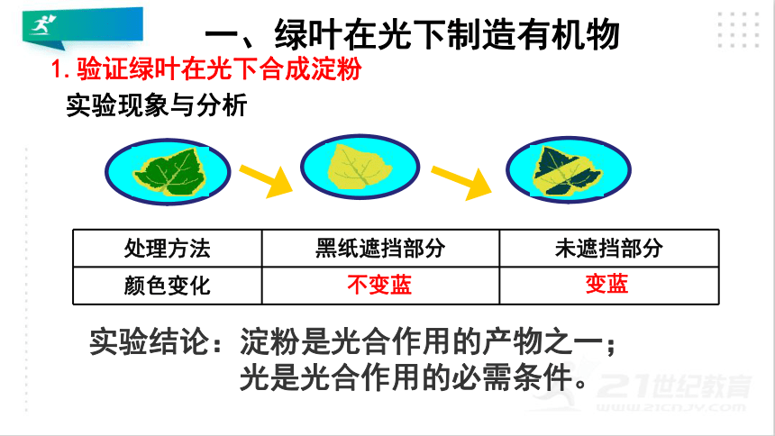 3.4 绿色植物是生物圈中有机物的制造者 课件（共19张PPT）