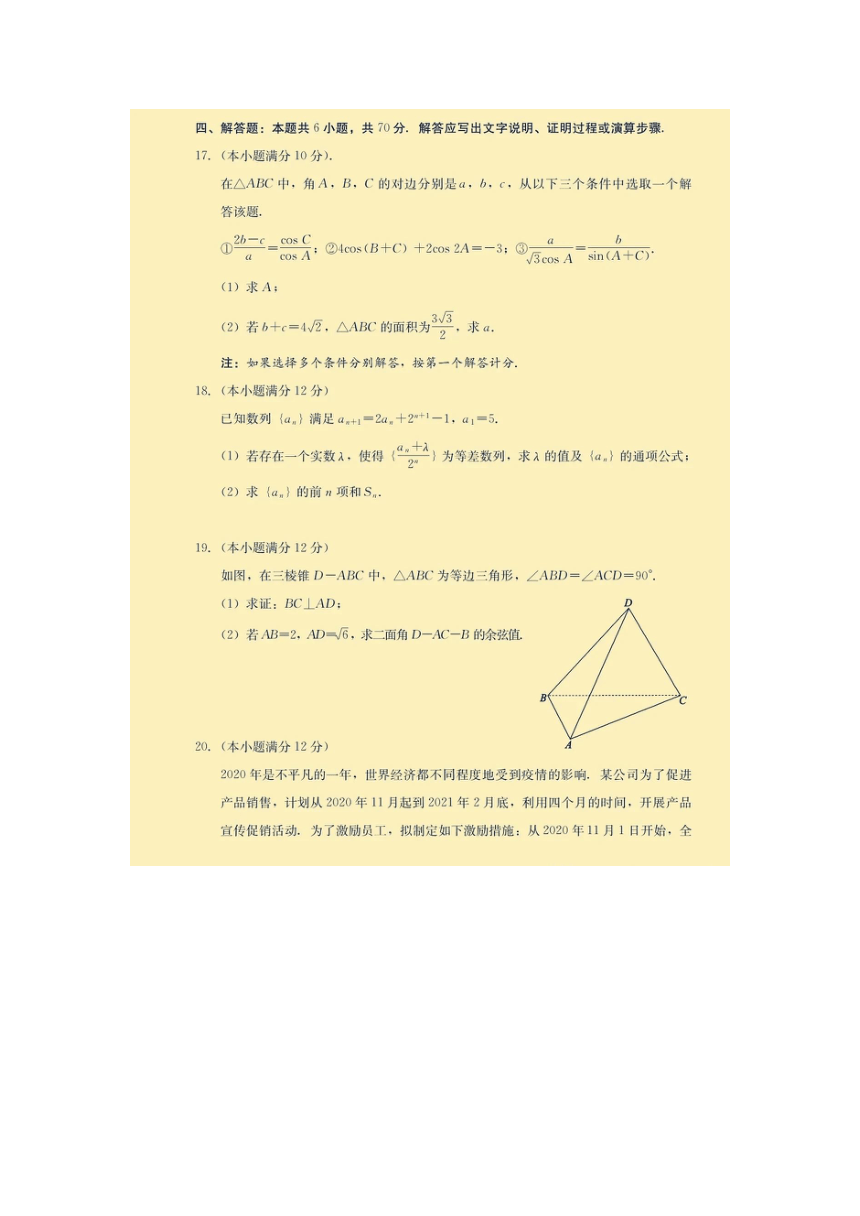 2020-2021学年1月山东省枣庄市高三期末考试数学上试题（图片版含答案）
