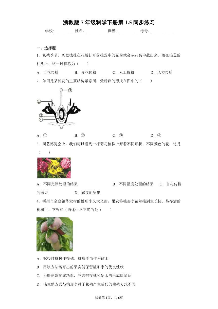 1.5植物生殖方式的多样性 同步练习（含解析）