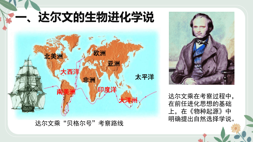 16.3 生物进化的学说课件(共23张PPT+内嵌视频1个)2022-2023学年苏教版八年级生物上册