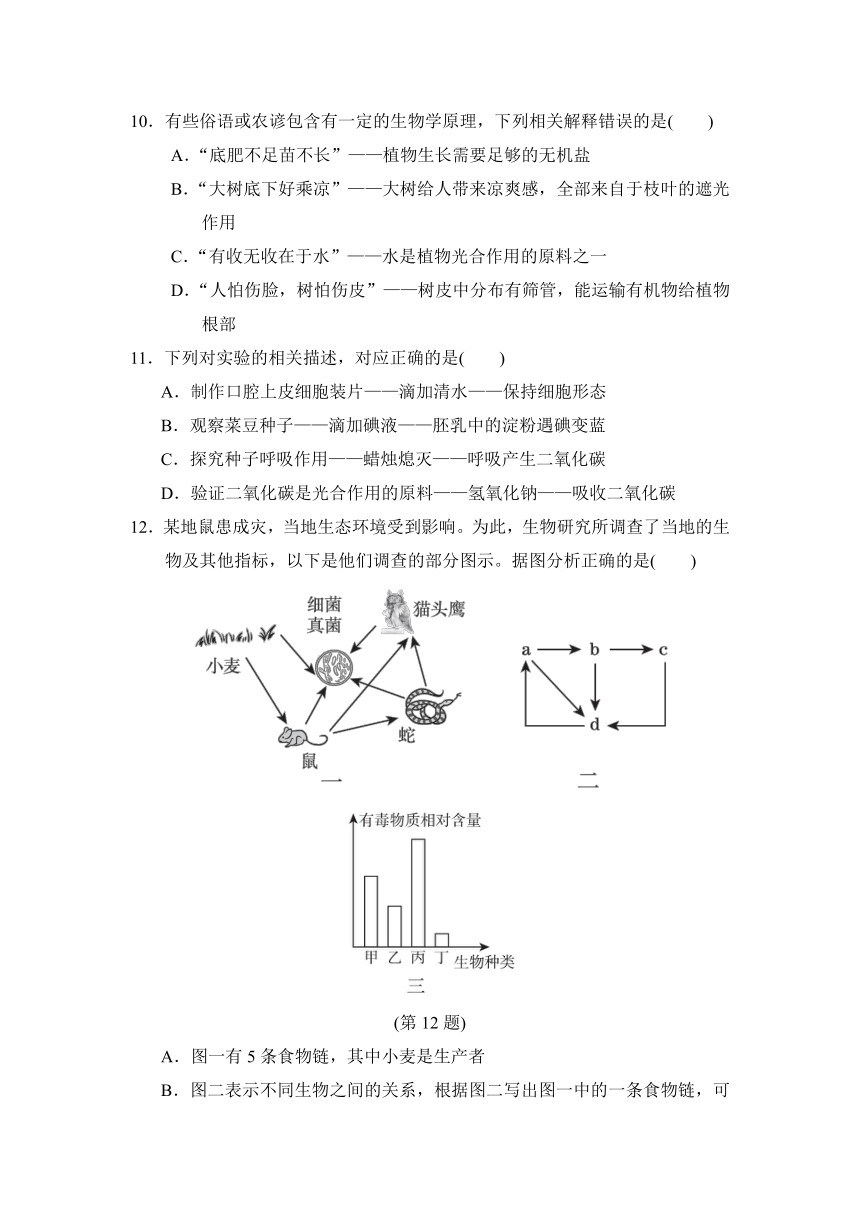 人教版七年级上册生物 第一学期期末达标测试卷（有答案）