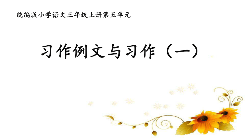 部编版语文三年级上册第五单元习作例文与习作   课件 (共35张PPT)