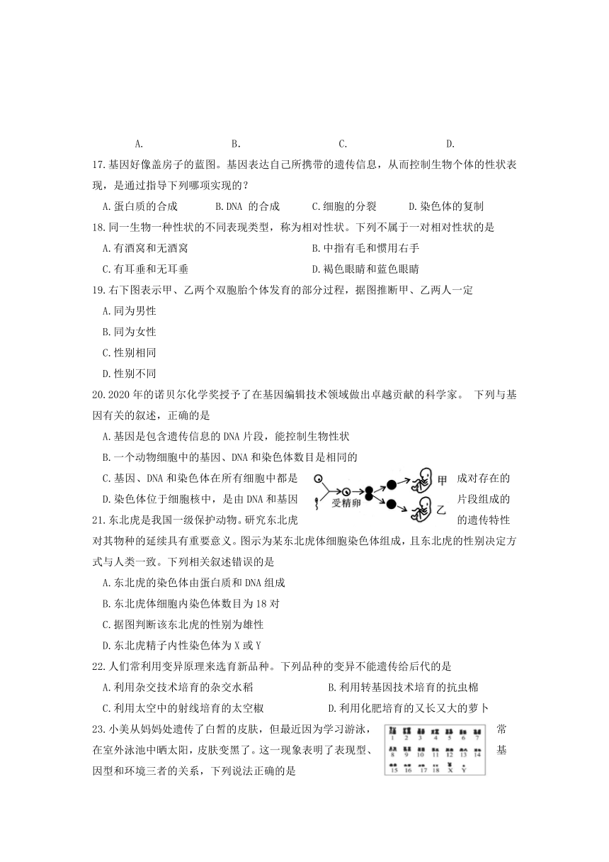 四川省成都市郫都区2021-2021学年八年级下学期期中考试生物试题（word版含答案）