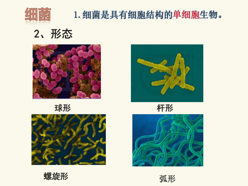 18.1 微生物在生物圈中的作用课件(共32张PPT)