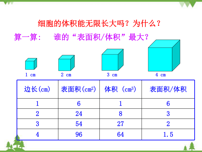 人教版生物七年级上册 第二单元第二章第一节 细胞通过分裂产生新细胞课件(共20张PPT)