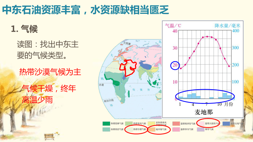 第八章  第一节 中东 第2课时课件(共20张PPT)2022-2023学年人教版地理七年级下册