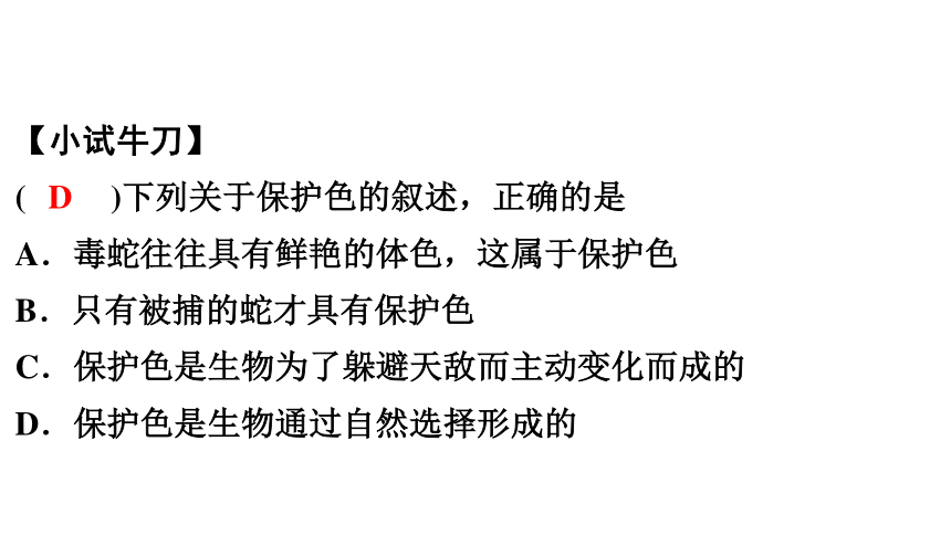 7.3.3 生物进化的原因 课件(共30张PPT)2023年春人教版八年级生物下册