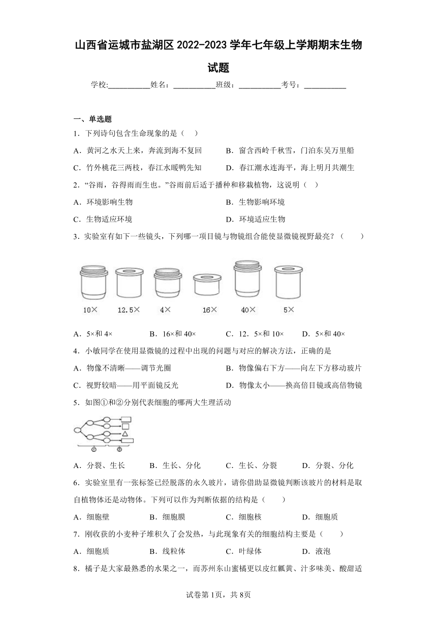 山西省运城市盐湖区2022-2023学年七年级上学期期末生物试题(含答案）