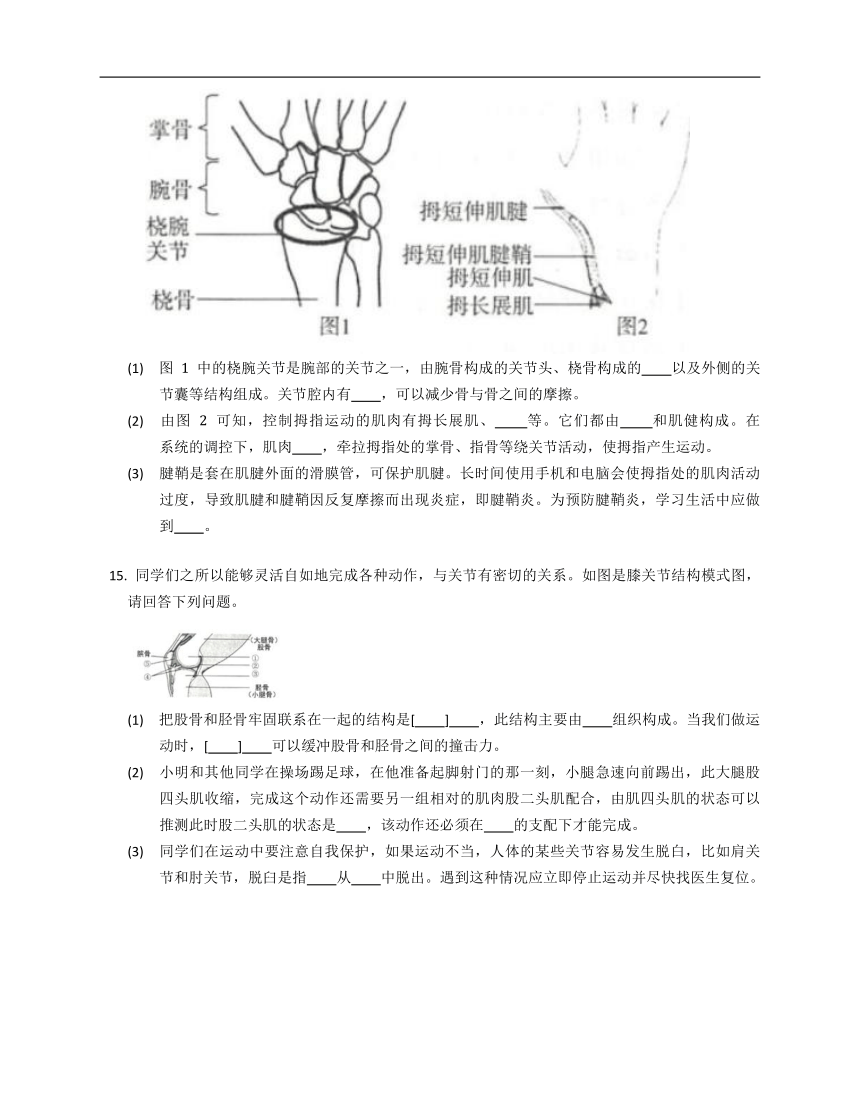 7.2.1动物的运动练习（含解析）鲁科版八年级上