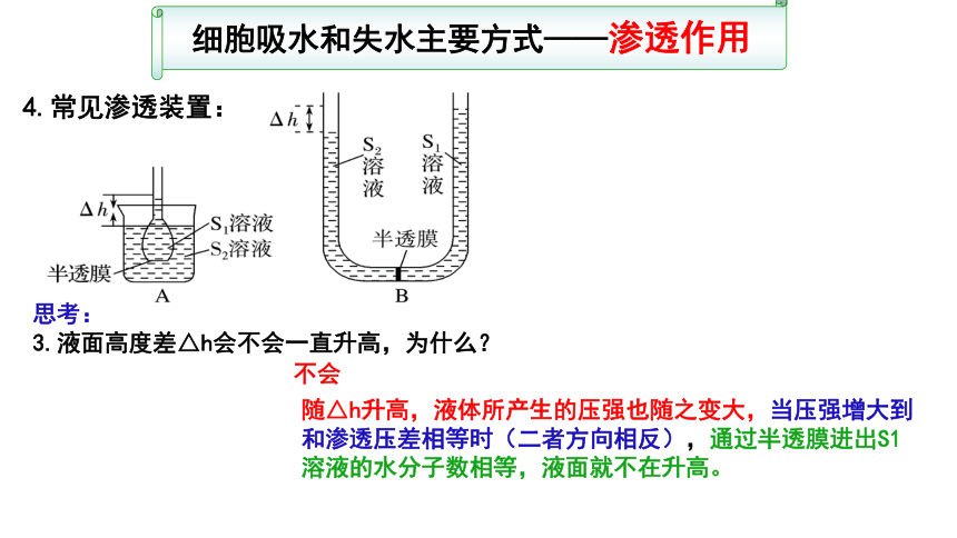 【备考2022一轮复习】&1.4 物质跨膜运输实例及物质运输方式（共52张ppt）