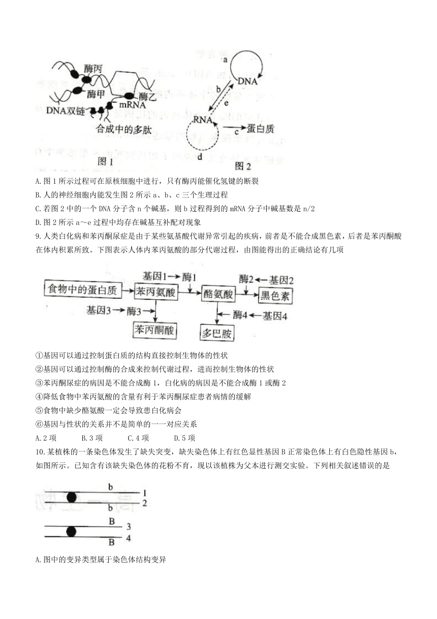 河北省邯郸市2020-2021学年高一下学期期末考试生物试题 Word版含解析