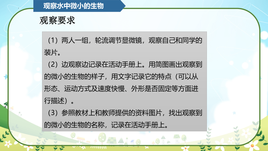 教科版（2017秋）小学科学六年级上册 1.6观察水中微小的生物（课件 共23张PPT）