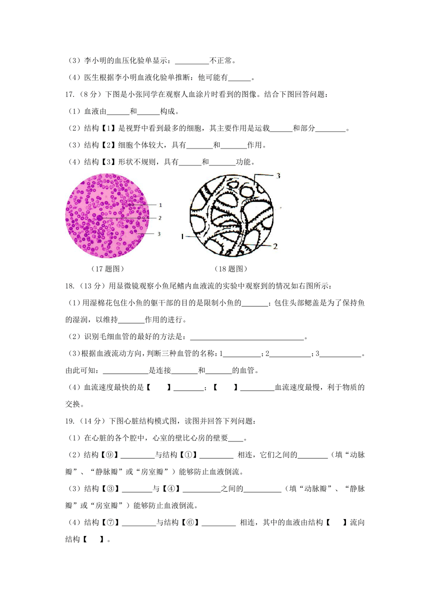 冀教版七年级下2.2爱护心脏  单元测试基础卷（含答题卡+答案）