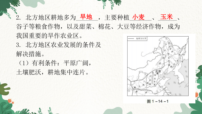 2023年中考地理一轮复习专题十四  北方地区 习题课件(共58张PPT)