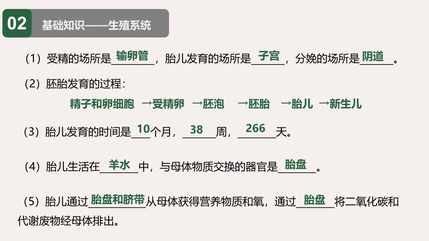 人教版七年级下册生物期末复习课件（共83张ppt）