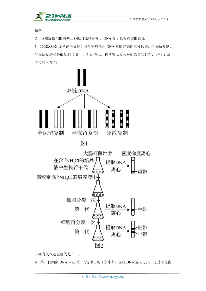 五年2018-2022高考生物真题按知识点分类汇编39-DNA分子的结构和复制（含解析）