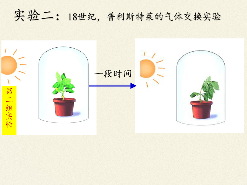 苏教版七年级生物上册 第六章 第一节 植物光合作用的发现课件(共24张PPT)