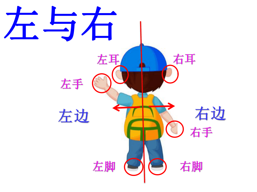 一年级下册数学课件-5.1   左与右沪教版 (共12张PPT)