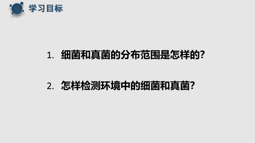 5.4.1细菌和真菌的分布  课件2022-2023学年人教版生物八年级上册（共19张PPT）