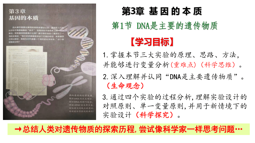 3.1DNA是主要遗传物质-(共29张PPT)课件人教版必修2