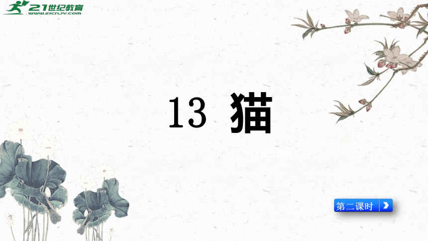 《13、猫》第2课时 课件