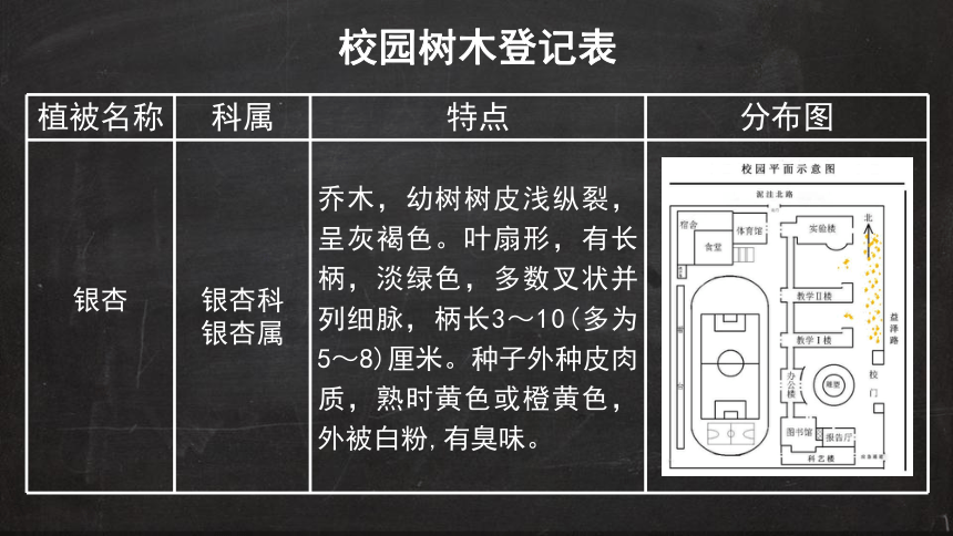 2.7  植被与自然地理环境的关系  课件（共38张幻灯片）