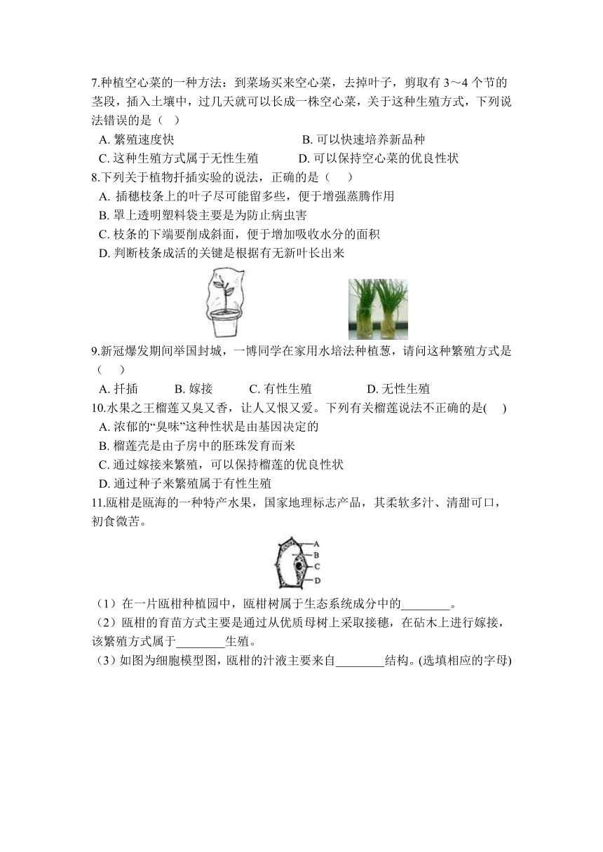 7.3 植物的无性生殖—华东师大版七年级科学下册预习讲义（含解析）