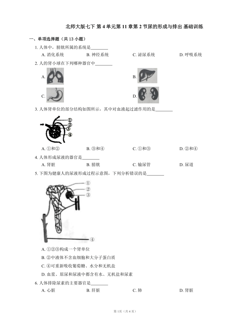北师大版生物七年级下册   4.11.2 尿的形成与排出 基础训练（附答案）
