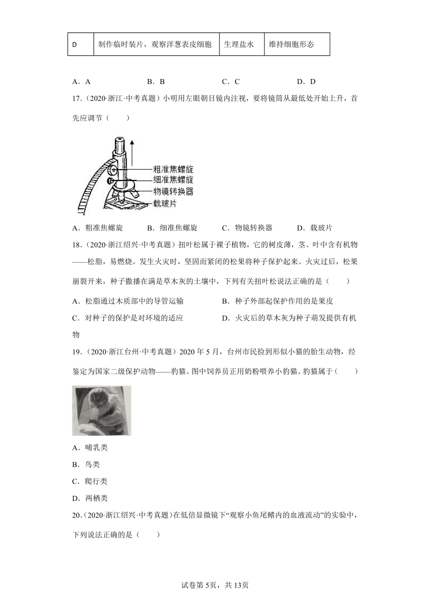 03观察多种多样的生物-浙江省各地区2020-2022中考科学真题汇编（含解析）