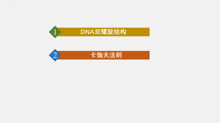 2021-2022学年高一生物浙科版（2019）必修2 第三章第二节遗传信息编码在DNA分子上（课件）（25张ppt）