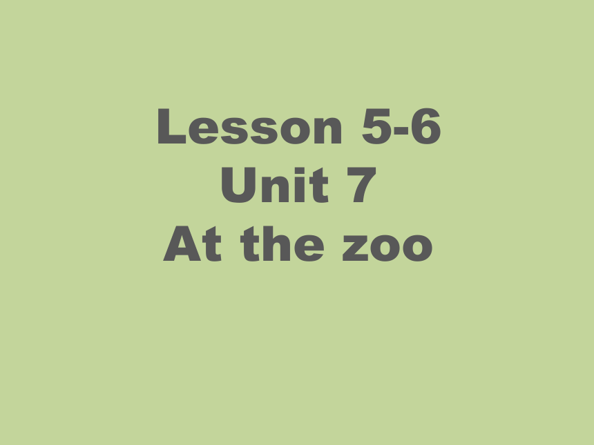 剑桥国际少儿英语 kid‘s box 第四册Unit7At the zoo Lesson5-6课件（共24张PPT）