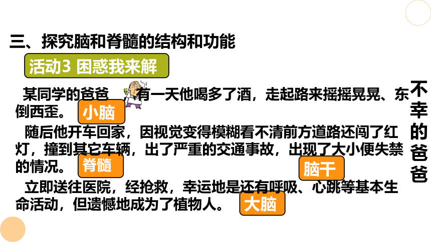 4.6.2 神经系统的组成 课件（共20张PPT）