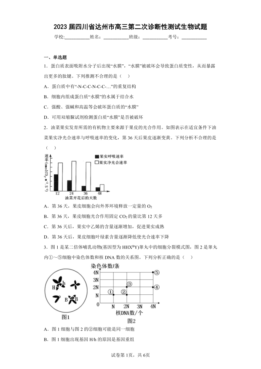 2023届四川省达州市高三第二次诊断性测试生物试题（含答案）