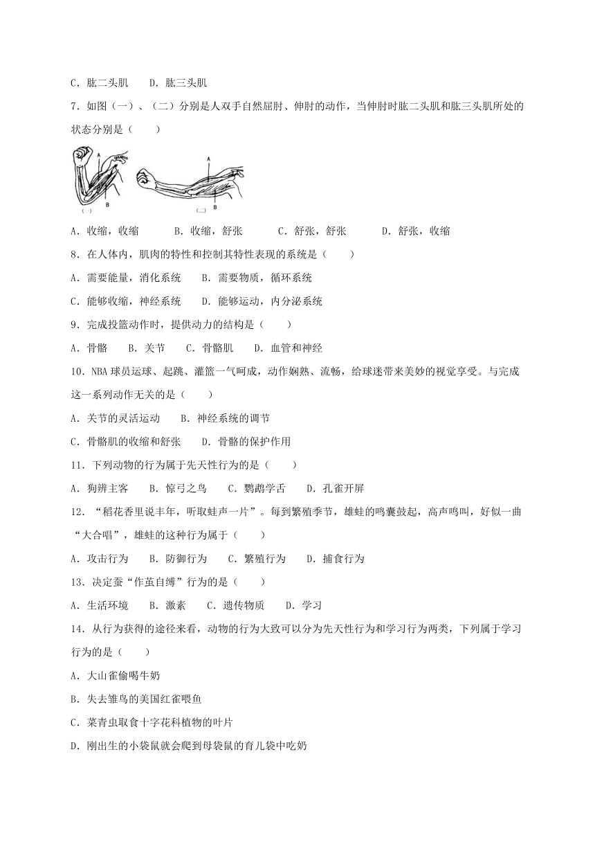 人教版生物八年级上册第五单元第二章动物的运动和行为综合测试（word版含答案）