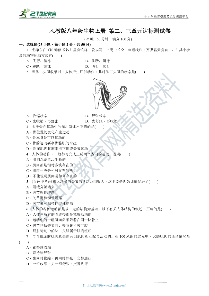 人教版八年级生物上册 第二、三章元达标测试卷（含答案）