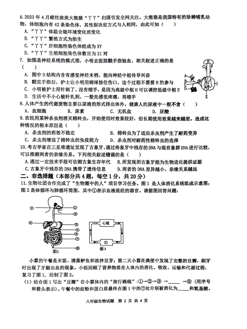 江苏省徐州市2023-2024学年八年级下学期4月期中生物试题（PDF版无答案）