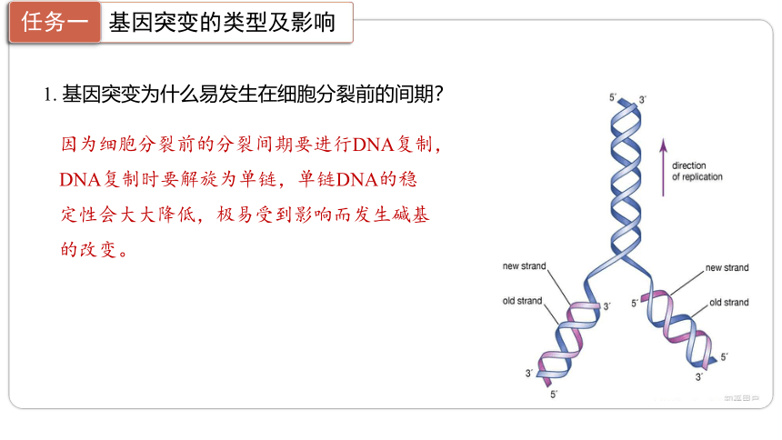 5.1.1 基因突变课件第1课时（共37张PPT）课件