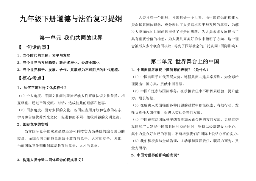 九年级下册道德与法治知识点汇总  精编打印版