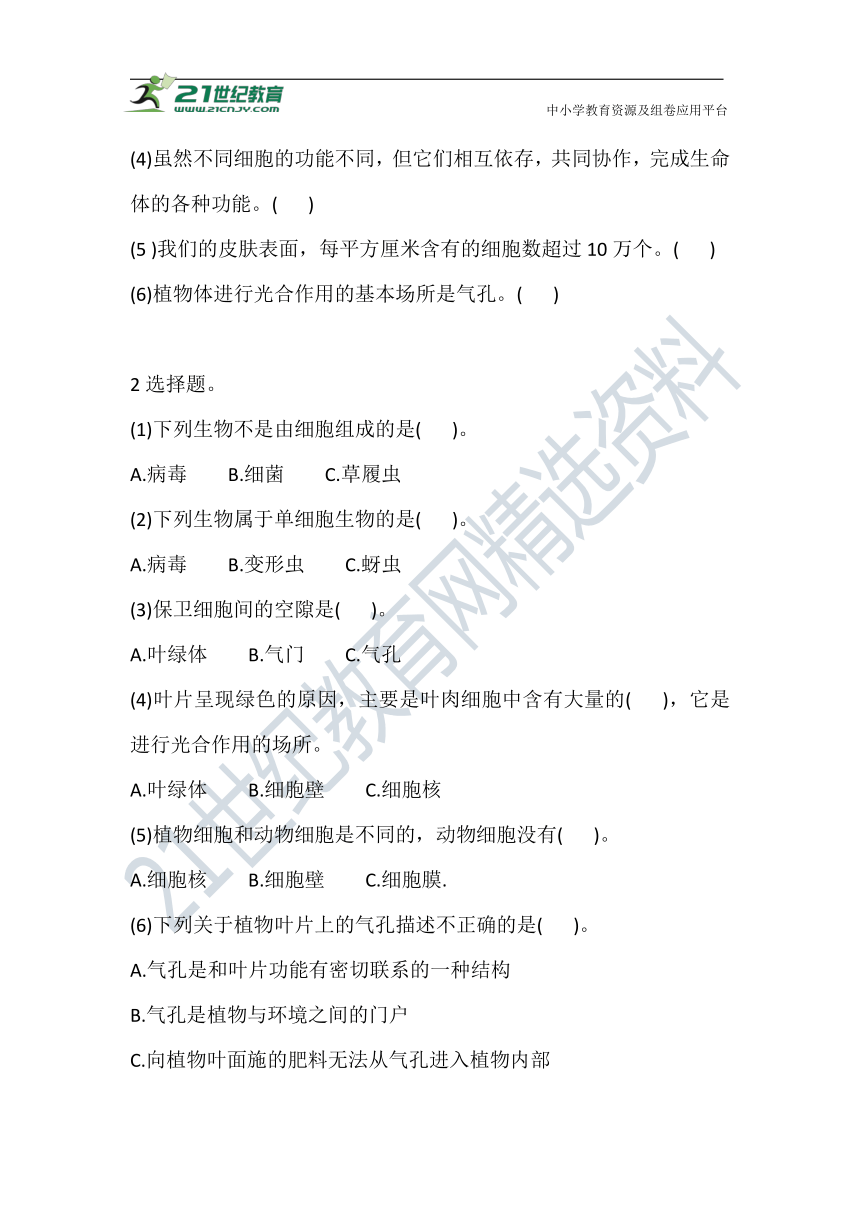 5 观察更多的生物细胞 巩固练习（含答案）