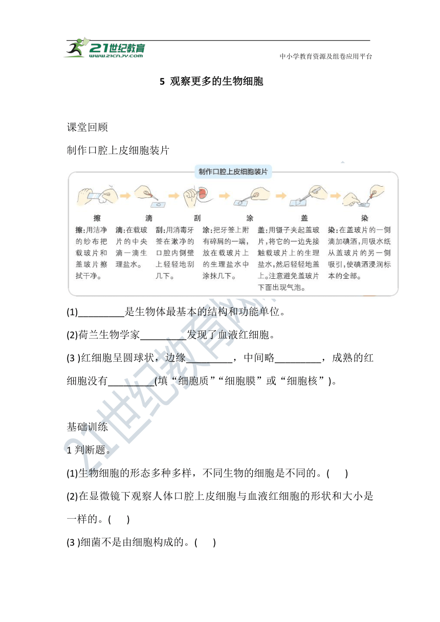 5 观察更多的生物细胞 巩固练习（含答案）