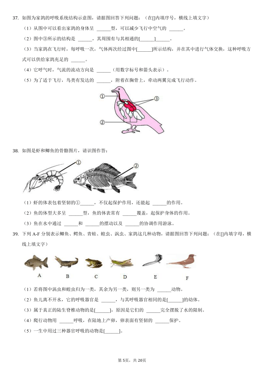 2021-2022学年海南省海口十四中八年级（上）月考生物试卷（一）（word版，含解析）