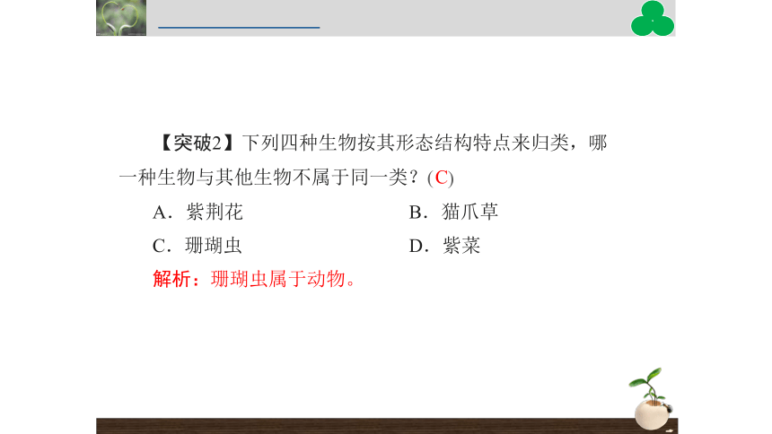 1.1.2  调查周边环境中的生物  课件(共43张PPT)2022-2023学年人教版生物七年级上册