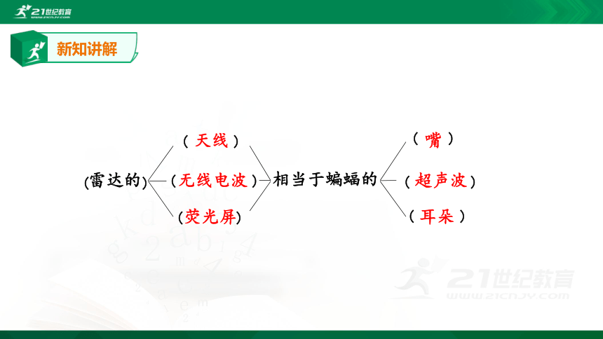 【新课标】 6.夜间飞行的秘密 第2课时 课件