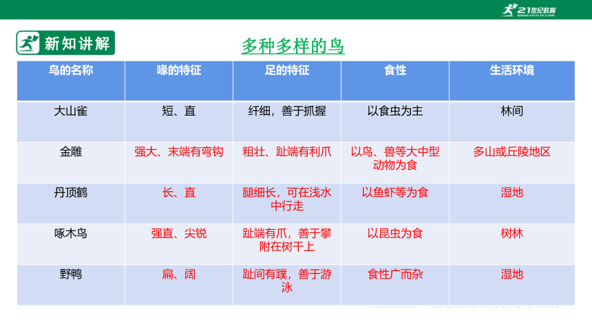 人教版5.1.6 鸟-2022-2023学年八年级生物上册 同步课件(共30张PPT)