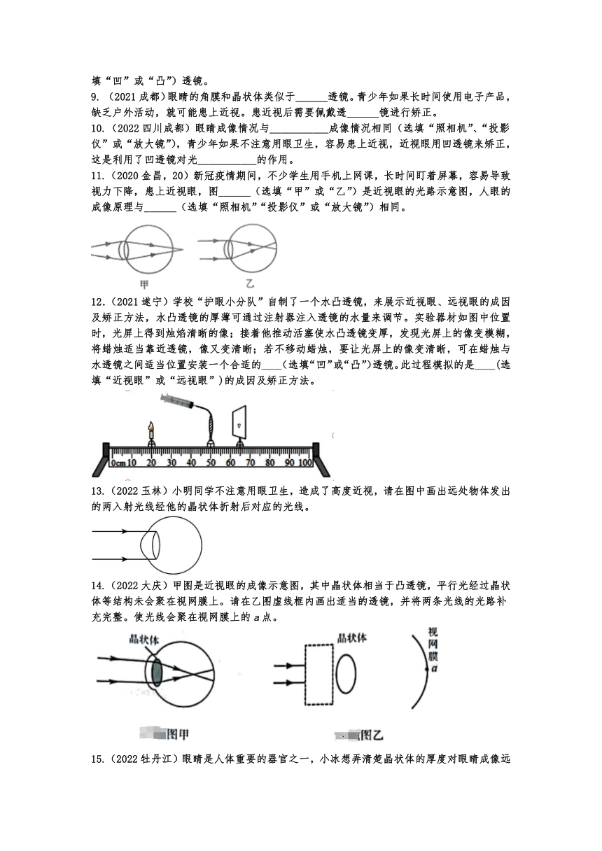 2023年中考物理考点精准训练：眼睛和眼镜（含答案）