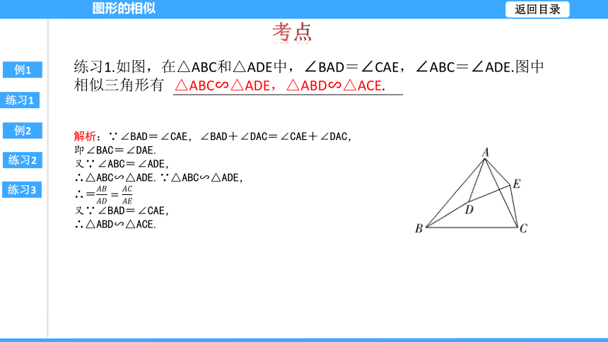 【大单元教学】鲁教版2023年八年级大单元 第九章图形的相似 课件（51张PPT）