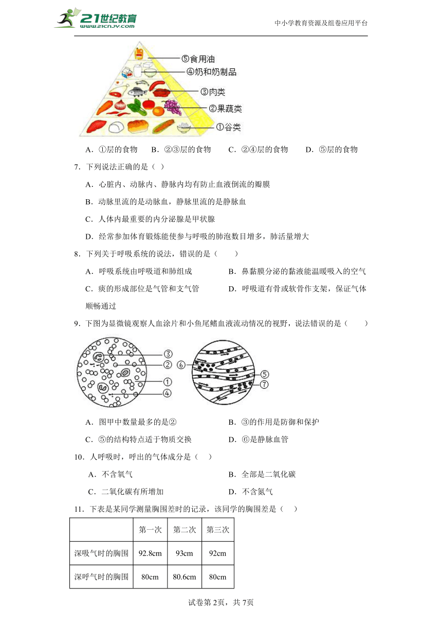 冀少版生物七年级下---期中试卷（含答案）