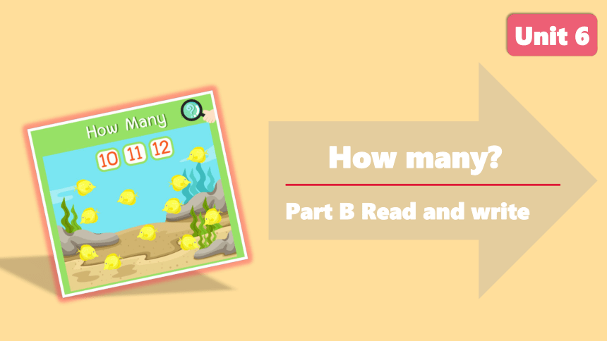Unit 6 How many ？B Read and write 课件(共31张PPT)