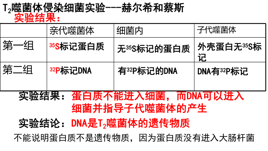 2022届浙江学考复习生物：专题八 DNA的复制、蛋白质的转录、翻译(共35张PPT)